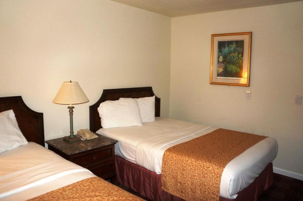 Waterford Inn Екстериор снимка